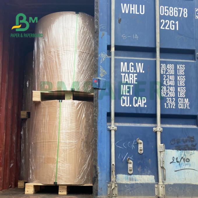 La pulpa de madera del 100% 210g + 15g PE cubrió el papel para las tazas de consumición 720m m 880m m