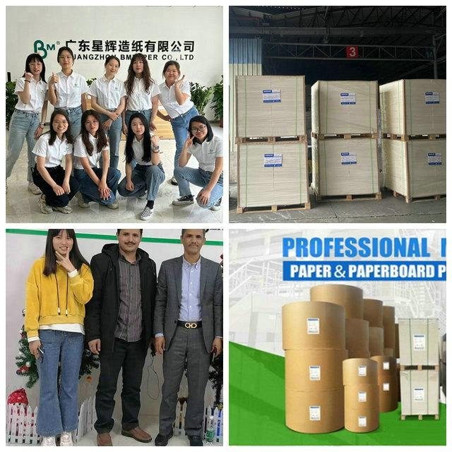 230g cubrió el papel material del polietileno de la acción de la taza de la prenda impermeable del PE para las tazas de papel
