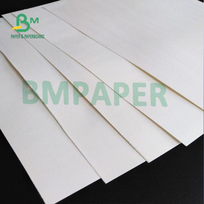 Papel de tablero del práctico de costa