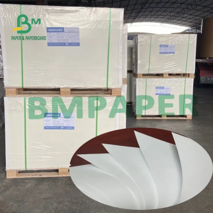 250gsm cubrió la tienda de delicatessen impermeable a la grasa de la tarjeta brillante de la categoría alimenticia que envolvía el papel enorme