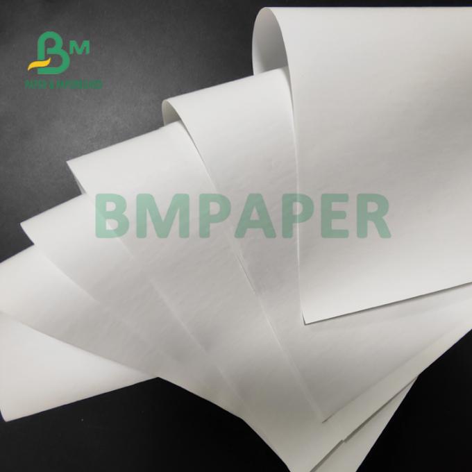 papel termal del rollo enorme 55gsm para las impresoras de la posición buena dureza de 565m m de los x 6000m