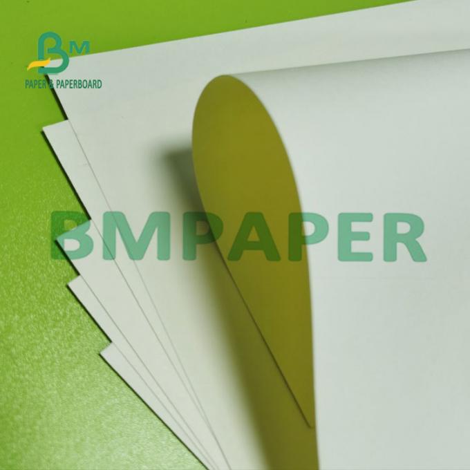 180g uno PE lateral cubrió el papel común del cuenco de la taza blanca natural en el rollo (1)