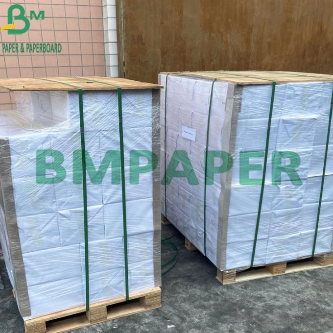 300gsm cubrió el duplex del tablero con Grey Back C1S anti - tablero del rizo para empaquetar