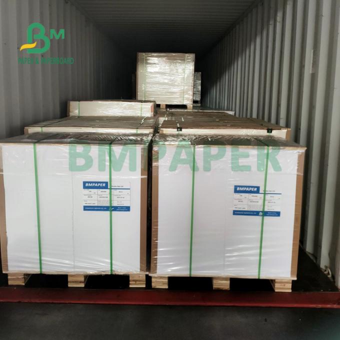 La categoría alimenticia 135gsm+10gsm PE cubrió el lustre de papel y a Matt Finish de la taza