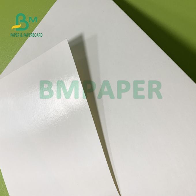 150gsm + 10gsm la comida PE seguro cubrió el papel bajo de la taza para beber