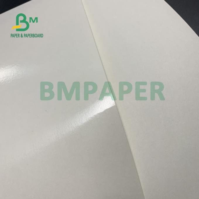 artículo de papel común 710m m x 900m m de la taza revestida del trabajo 150gsm+20gsm