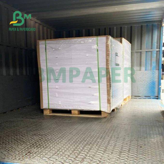 210gsm+15gsm la película de la taza PE cubrió el buen brillo de papel 615m m x 850m m