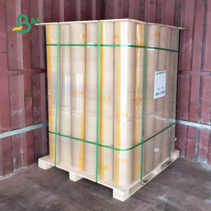 papel sin recubrimiento del fabricante del modelo de Rolls del papel de trazador de la ropa 60gsm 5