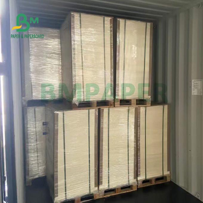 230gsm+15gsm la durabilidad PE cubrió el papel de la acción de la taza para el cuenco de sopa 560m m x 700m m