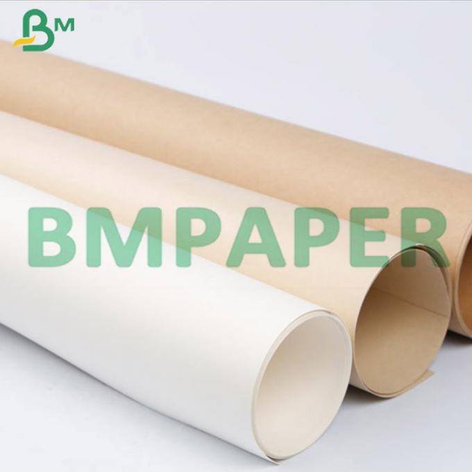 tablero de papel común de 215g 230g PE de la categoría alimenticia de los tallarines de la taza revestida del cuenco en el rollo enorme (5)