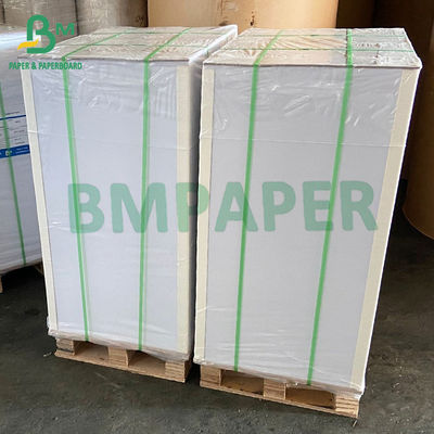250g + 15g PE cubrieron los papeles para las placas de papel que ruedan las tazas vajilla
