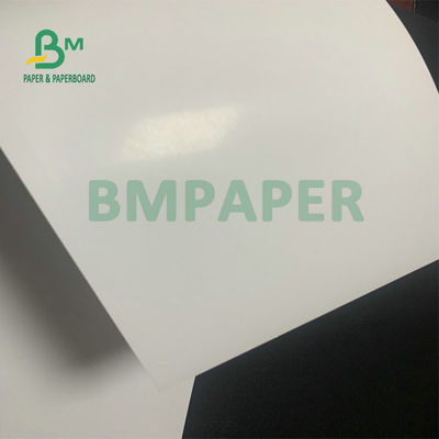 C2S Art Paper Board brillante 300gsm 350gsm para la impresión de la revista