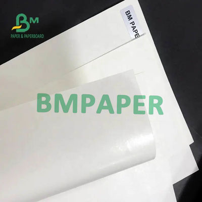 Rollo de papel de la acción blanca de la taza solo lado 200gsm + 15PE cubierto para la taza de papel