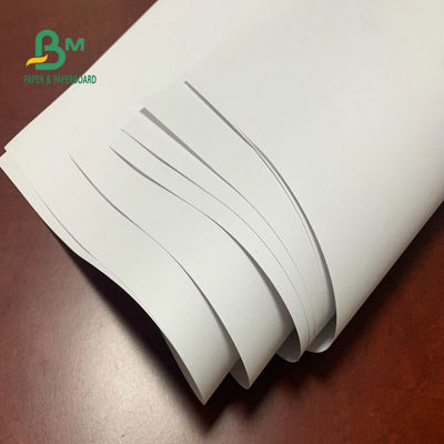 60 gm 70 gm Papel térmico directo Jumbo Roll Papel autoadhesivo semi brillante