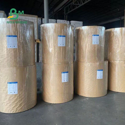 250 gramos + 15 gramos de papel kraft recubierto en PE para una taza desechable 770 mm