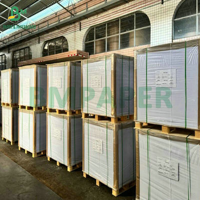 900 X 1194 mm 100% Blanco puro 0,6 mm 0,7 mm espesor Papel absorbente para montacargas