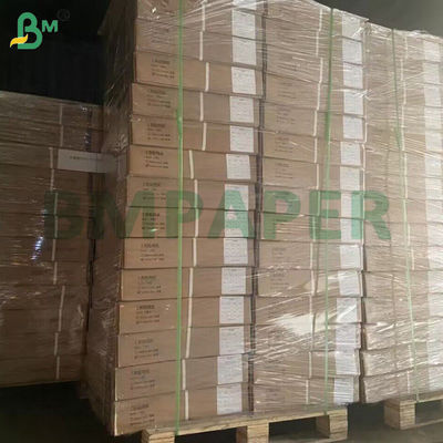 30g - 90g Papel de forro de tartas sin recubrimiento colorido agujero de aceite Resistencia a altas temperaturas