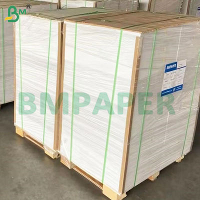 135-350 GSM Rollo de papel para recipientes de alimentos de alta rigidez para cuencos de papel