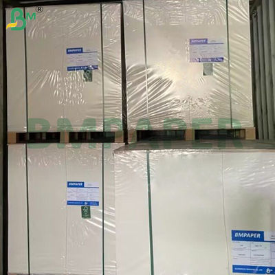 350 g de cartón de contenedor recubierto C1S de calidad alimenticia de madera virgen