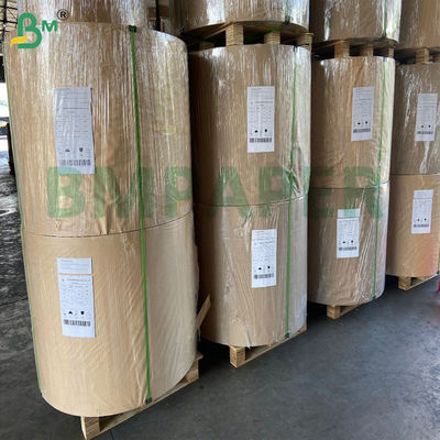 Kit3 Kit5 Kit7 Papel resistente a la grasa degradable para envases de alimentos fritos