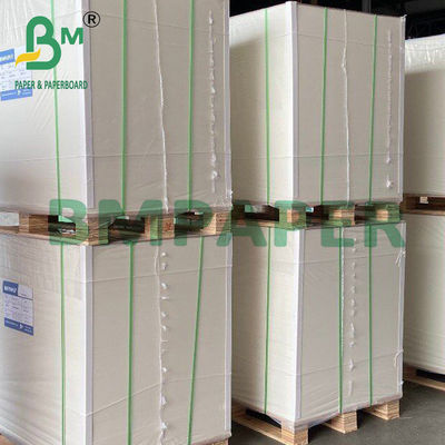 200 g de papel blanco para tazas y tazas de calidad alimenticia