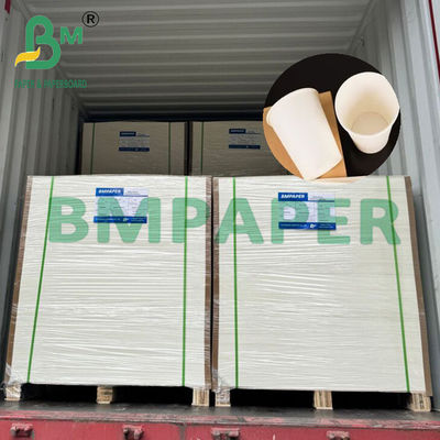 Papel de taza de té caliente biodegradable de 210 gm 230 gm Materia prima