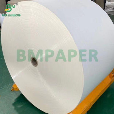 240 gm + 18 g de papel de cubierta de PE revestido para alfombras de bandeja Resistente al agua 650 mm