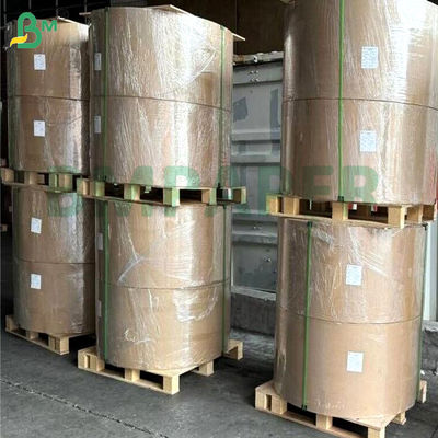 PET impermeable a la grasa impermeable a la agua cartón de papel blanco recubierto de un lado 200gm 300gm 400gm Para cajas de comida microondas Embalaje de panadería