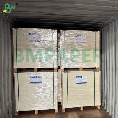 Cartón antigrasa de 210 g/m² y 220 g/m² para envases de alimentos, kit de 6, 24 x 36 pulgadas, impermeable