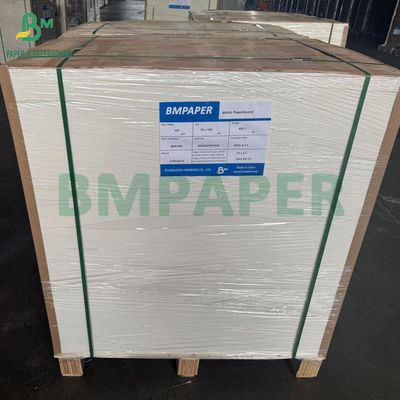 Buena Resistencia 250g - 400g Rollo de Cartón para Blíster Sellable Térmicamente Ancho 1041mm