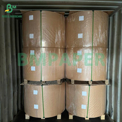 Papel de filtro de café de pulpa de bambú blanco y marrón de 35 g/m² y 50 g/m² para café filtrado