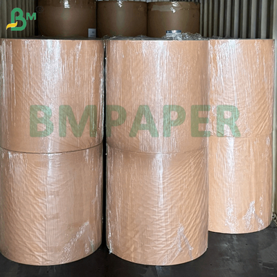 Papel de embalaje de camarón congelado de calidad superior de 250 gm impermeable recubierto para almacenamiento en frío