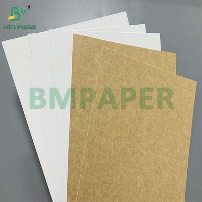 C1S White Top Kraft Back 265g 350g Kraft Paper Board For Packing Box