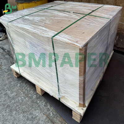 Papel de encaje de pergamino horneado de grado alimenticio 50 g/m² para hornear moldes de papel para magdalenas