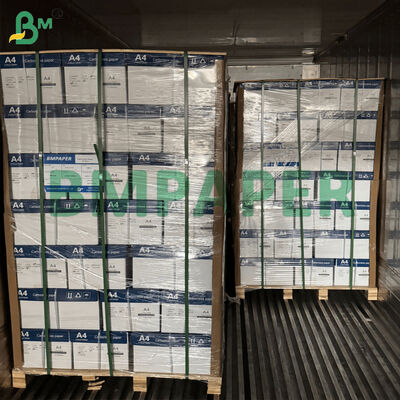 Papel autocopiativo regular de 20 lb, 8.5" x 11", papel NCR multicolor