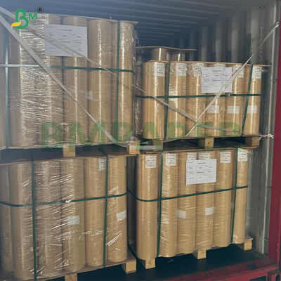 Papel Kraft de Alta Absorción de 75 g/m² para Pollos en Rollo