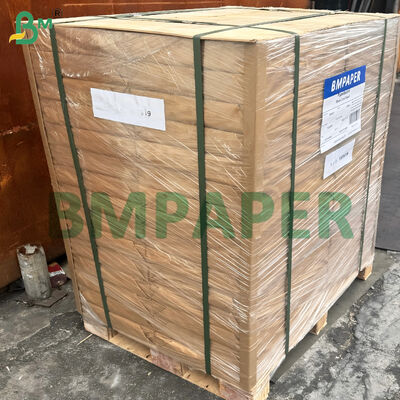 Cartulina de doble cara recubierta de 370 lb, 12" x 18", color blanco