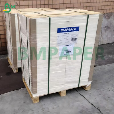 Cartulina Bristol Blanca Sin Recubrimiento Lisa de 100 lb (270 g/m²) de 22" x 30"