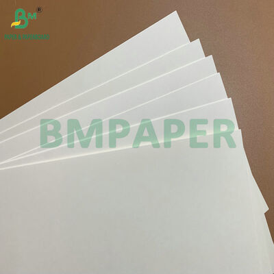 Papel de contacto para alimentos de cartón blanco de 275 gm 325 gm de gran volumen C1S recubierto para platos y bandejas desechables