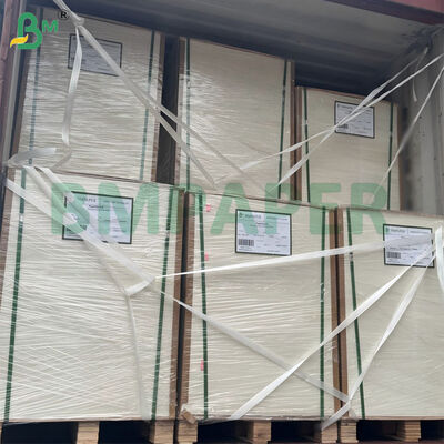 La hoja de papel de pulpa de bagazo de caña de azúcar sin blanquear 300gsm es biodegradable certificada 787 mm x 1092 mm