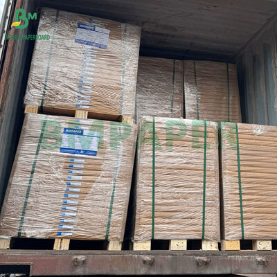 Papel de silicona de doble cara a prueba de grasa para hornear 594 x 841 mm