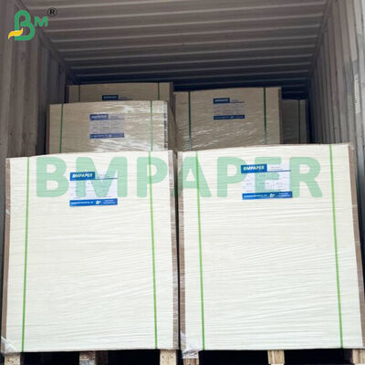 Grado alimenticio Contenedor de alimentos Hojas de papel de 190 gramos + Revestimiento en PE
