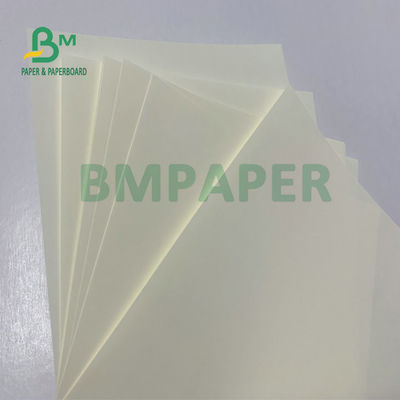Color de marfil superficial liso de papel sin recubrimiento de Woodfree 50g 60g de la alta pulpa