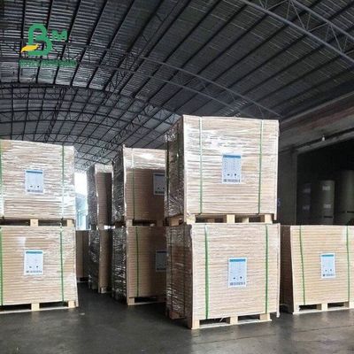 el llano sin recubrimiento Woodfree blanco de 60G 70G 80G 90G en offset la impresión de las hojas de papel 24 * 38&quot;