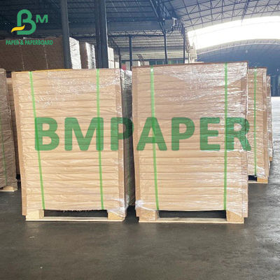 Bristol Paper Smooth blanco brillante, papel de dibujo del tablero 200gsm 250gsm