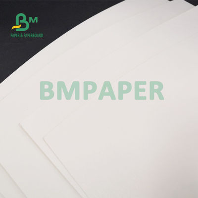 La pulpa de madera del 100% 210g + 15g PE cubrió la hoja de papel para las tazas de consumición 720m m 880m m