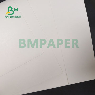 La pulpa de madera del 100% 210g + 15g PE cubrió la hoja de papel para las tazas de consumición 720m m 880m m