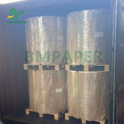 La pulpa de madera del 100% 210g + 15g PE cubrió la hoja de papel para las tazas de consumición 720m m 880m m
