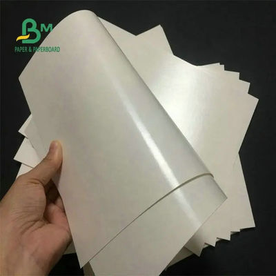 La categoría alimenticia 260 + 15 PE cubrió el papel común de la taza blanco para la taza de café
