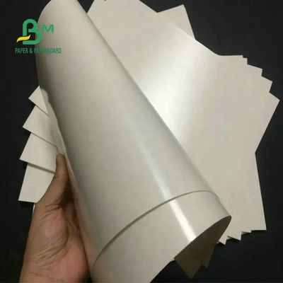 La categoría alimenticia 260 + 15 PE cubrió el papel común de la taza blanco para la taza de café